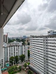 Blk 169 Stirling View (Queenstown), HDB 3 Rooms #598644001